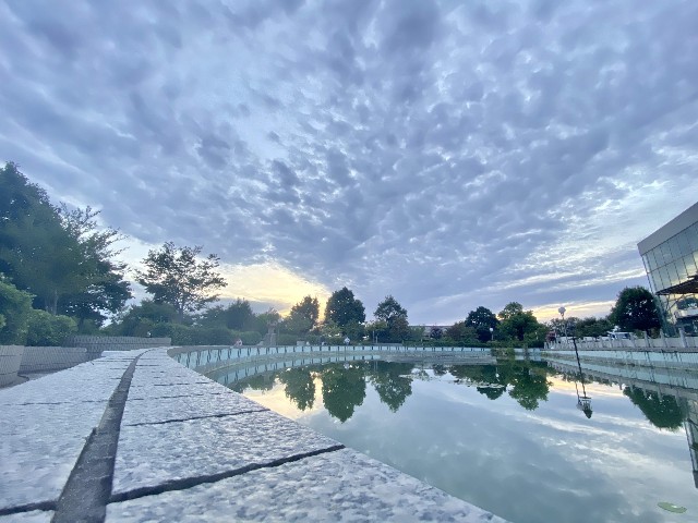 f:id:hayaponlog:20200615213431j:image f:id:hayaponlog:20200615213431j:image