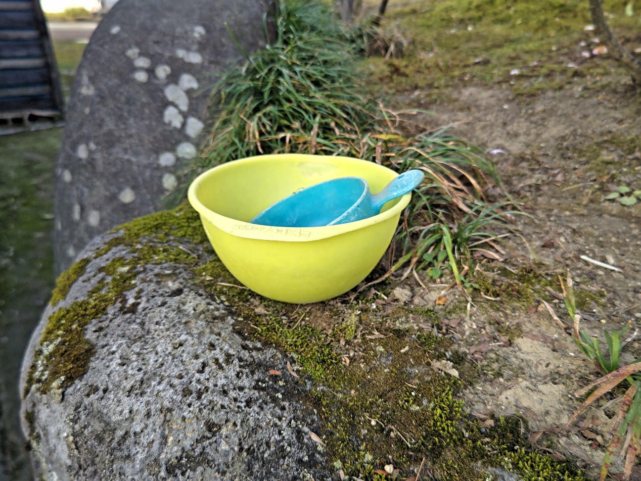 f:id:hayaponlog:20230401132128j:image f:id:hayaponlog:20230401132128j:image