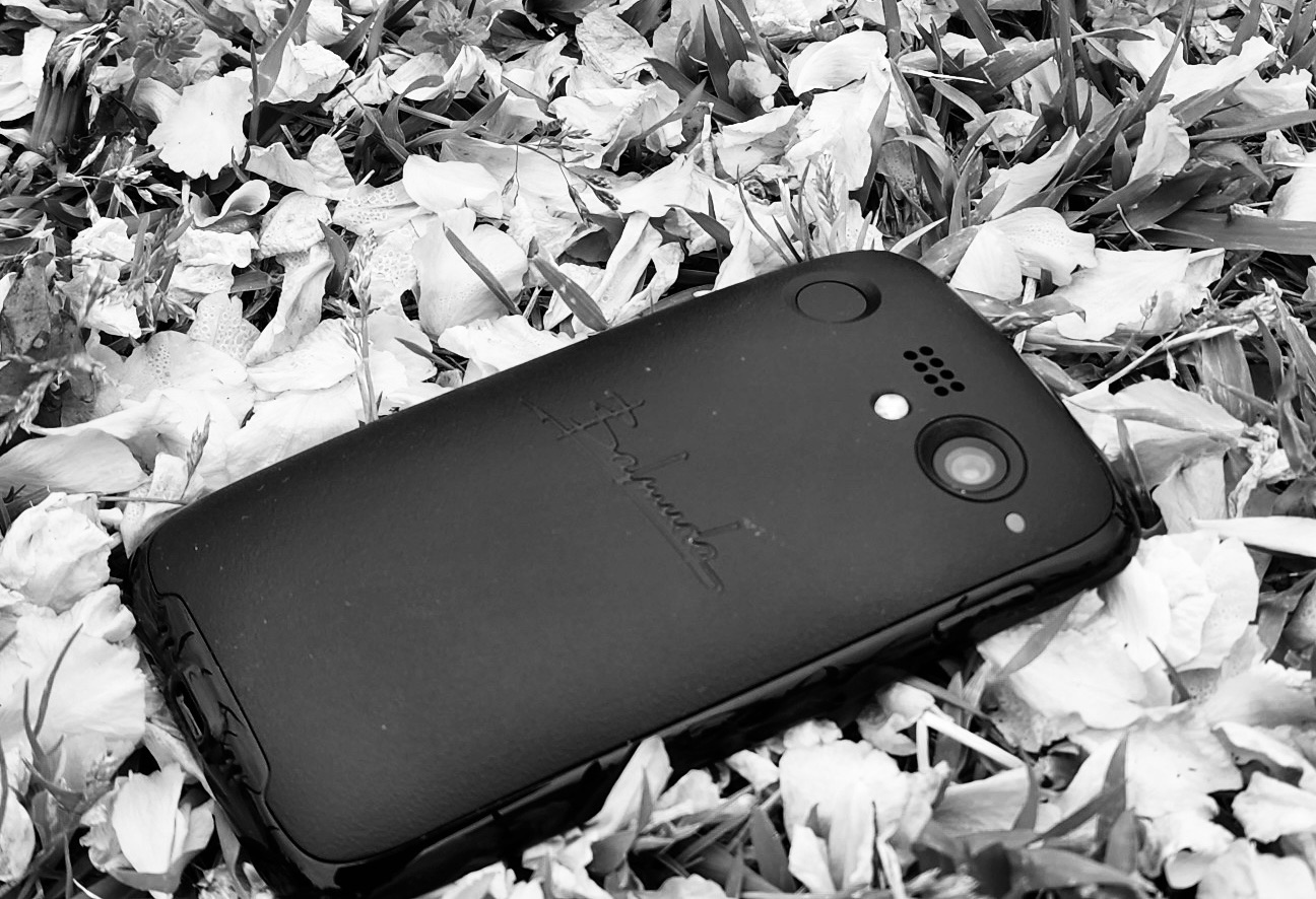 f:id:hayaponlog:20230512162012j:image