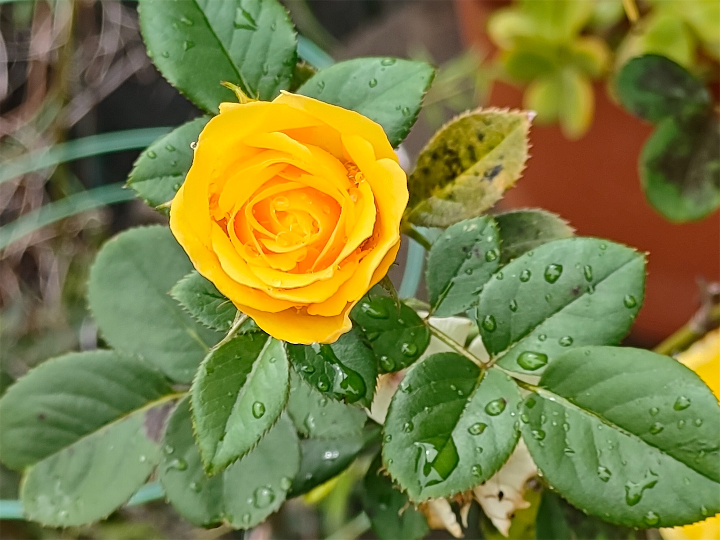 f:id:hayaponlog:20240222114344j:image f:id:hayaponlog:20240222114344j:image