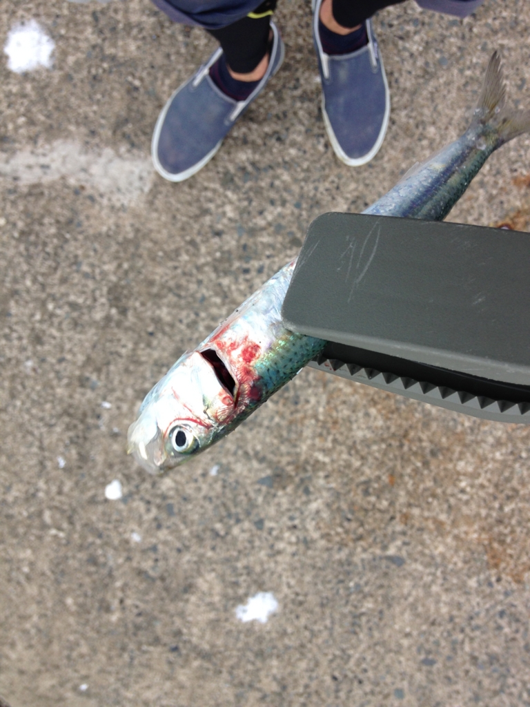 f:id:hayashi-xxxxx:20160915111643j:plain