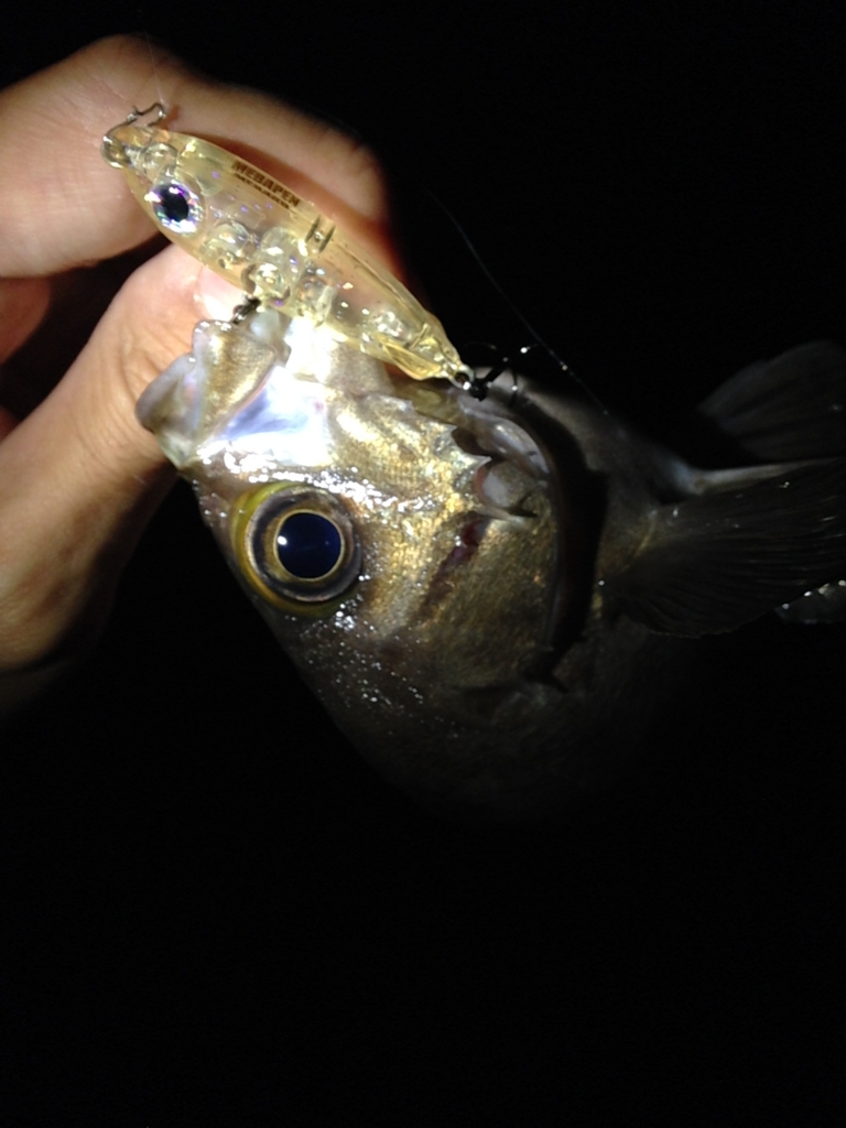 f:id:hayashi-xxxxx:20160915111908j:plain