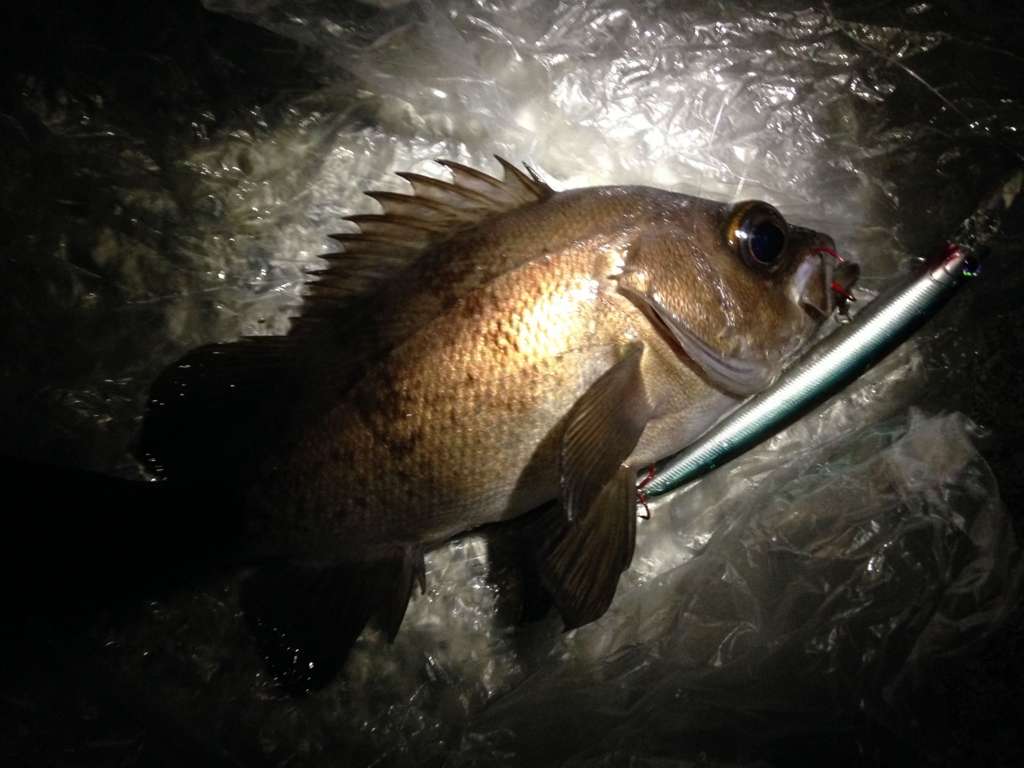 f:id:hayashi-xxxxx:20160916163908j:plain