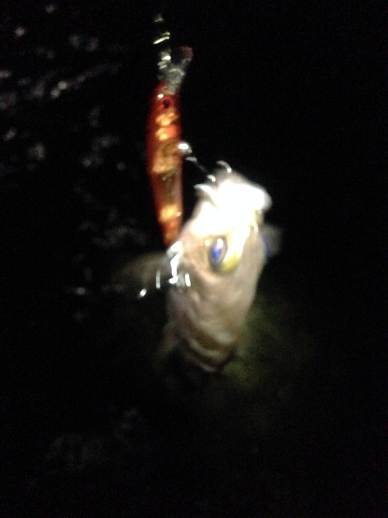 f:id:hayashi-xxxxx:20160917182448j:plain