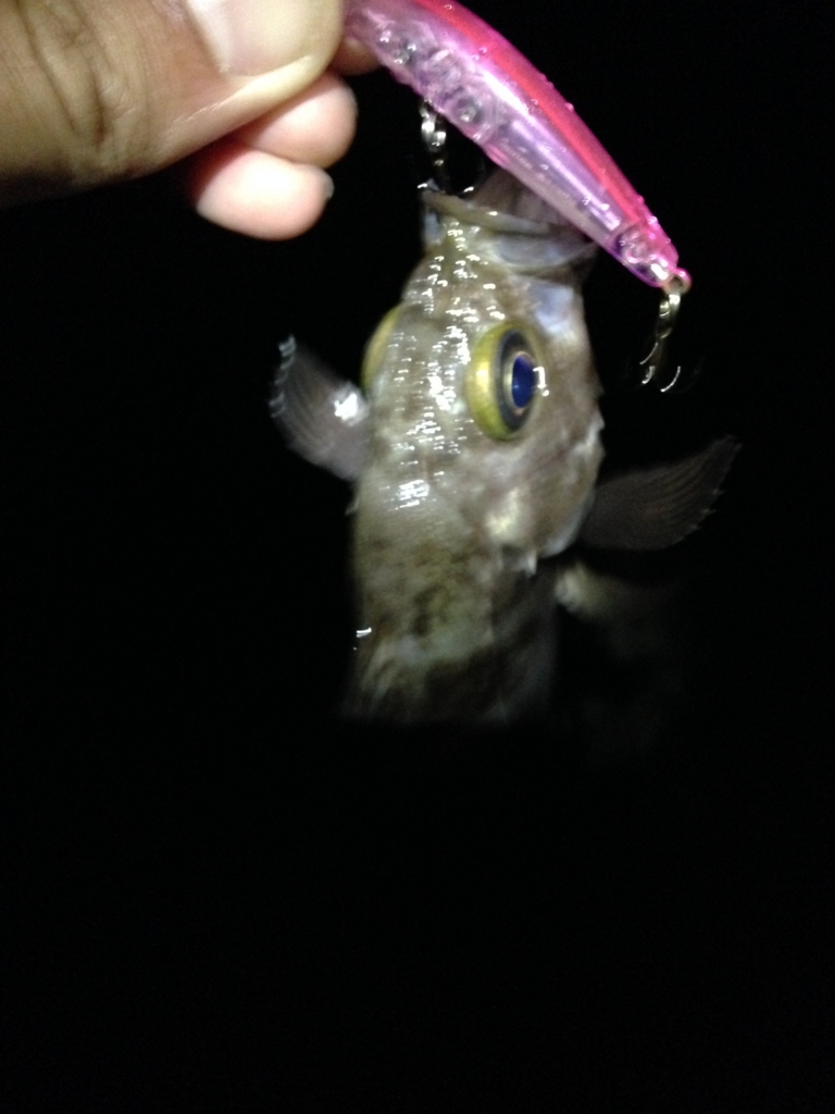 f:id:hayashi-xxxxx:20160919174451j:plain