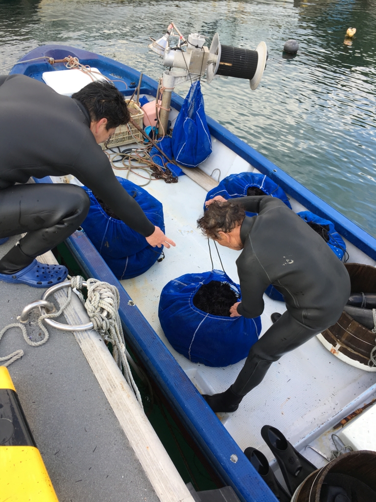 大島では冬のウニ漁のシーズンです 知られざるウニ加工について Hayashi 77 のブログ