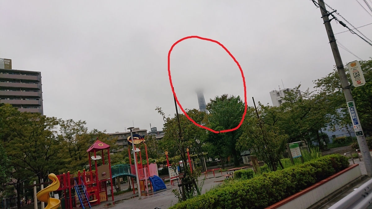 若宮公園から見えるスカイツリー