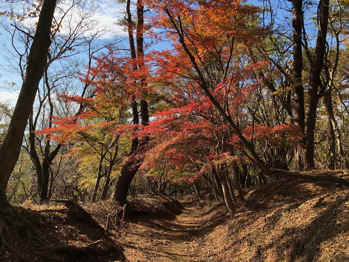 f:id:hayashikunsan:20191215153237j:plain