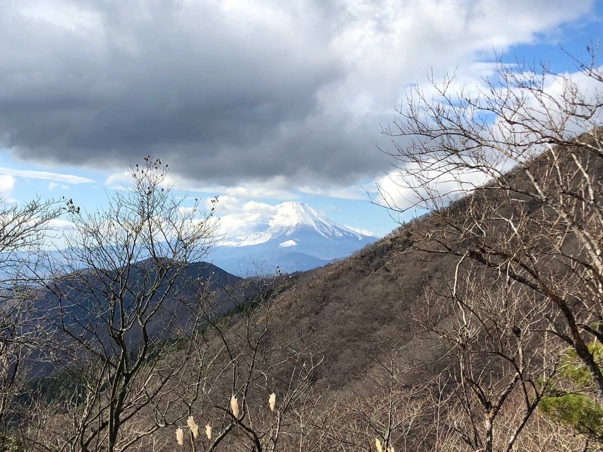 f:id:hayashikunsan:20191215153352j:plain