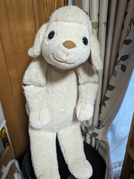 ベルウェザー