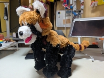 ふわふわレッサーパンダ 2
