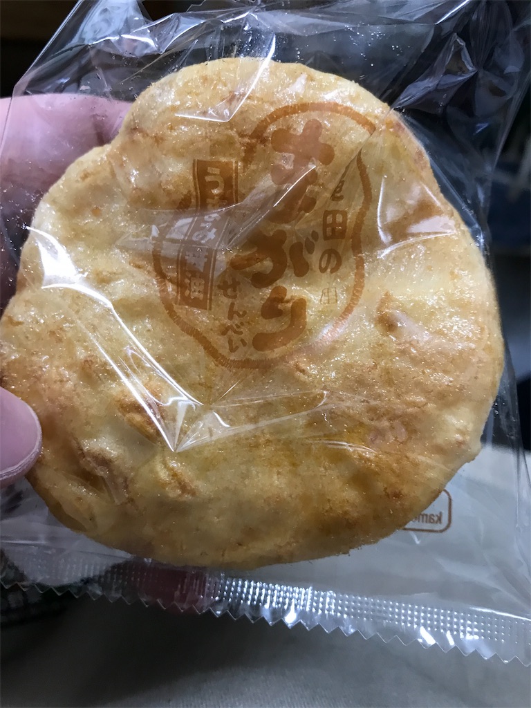 f:id:hayasiyamori:20190410170954j:image