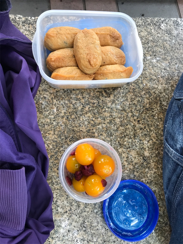 f:id:hayasiyamori:20190703114055j:image