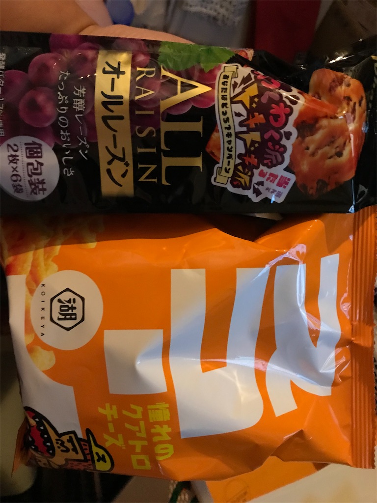 f:id:hayasiyamori:20191213214157j:image