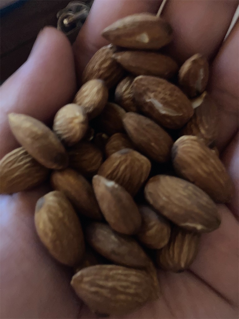 f:id:hayasiyamori:20200831214324j:image