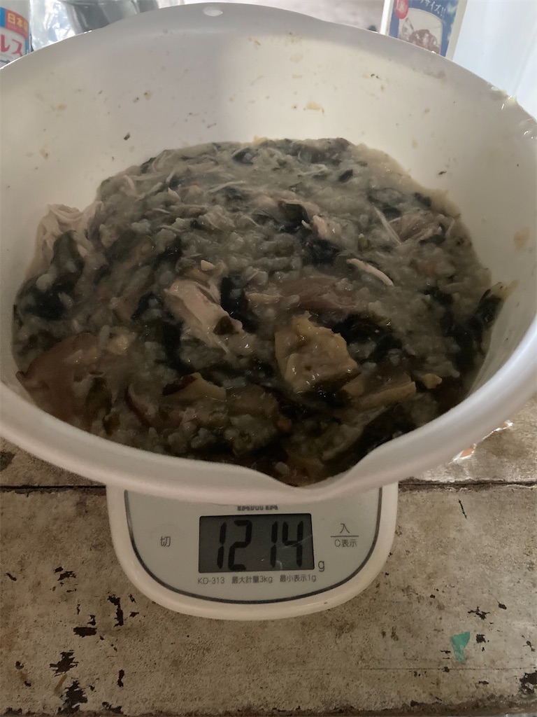 f:id:hayasiyamori:20200831214511j:image