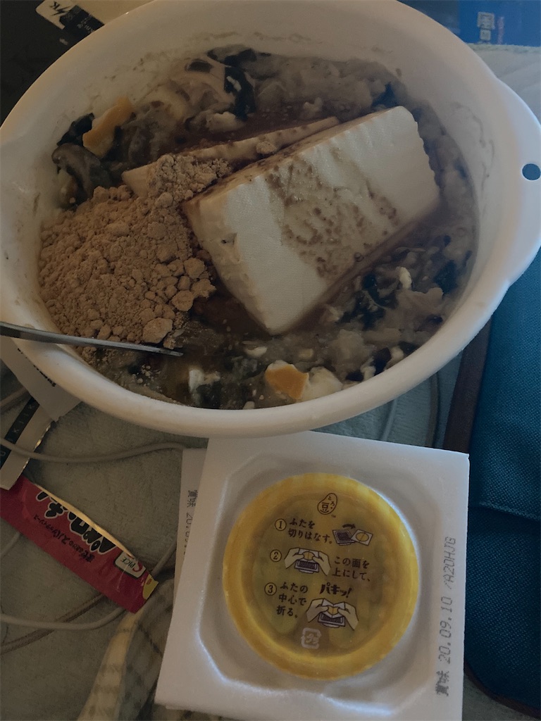 f:id:hayasiyamori:20200928195511j:image