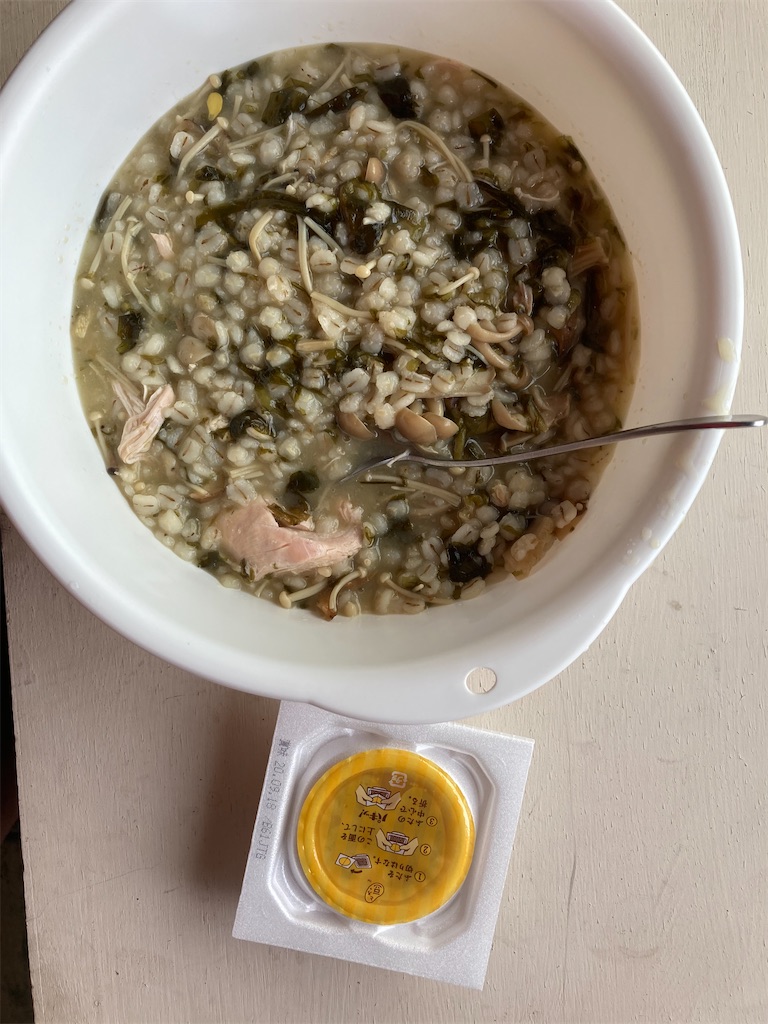 f:id:hayasiyamori:20200928201605j:image