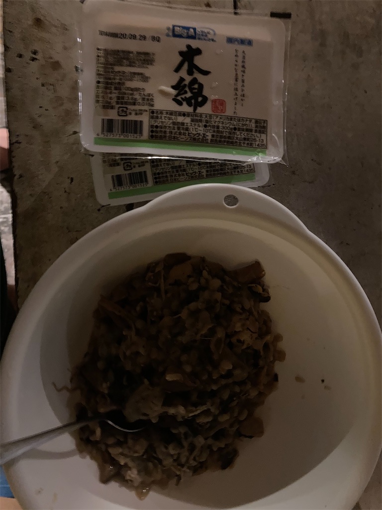 f:id:hayasiyamori:20200928203930j:image