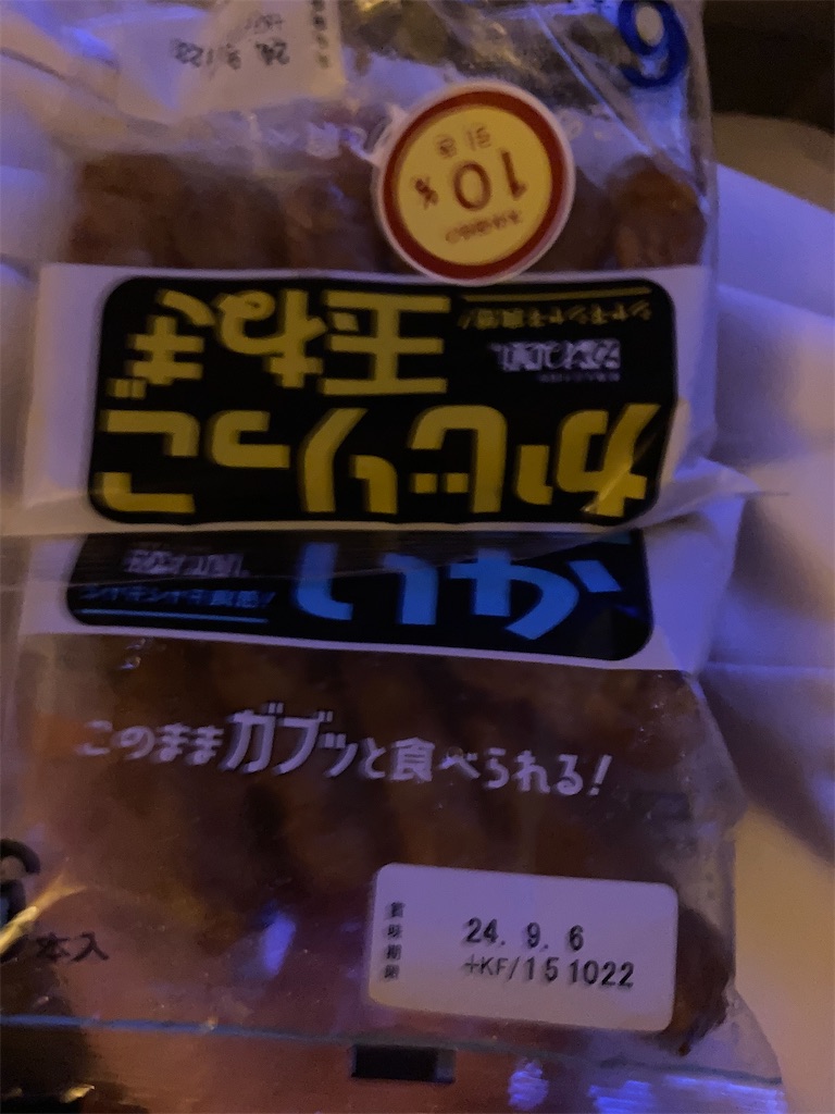 f:id:hayasiyamori:20240906203206j:image