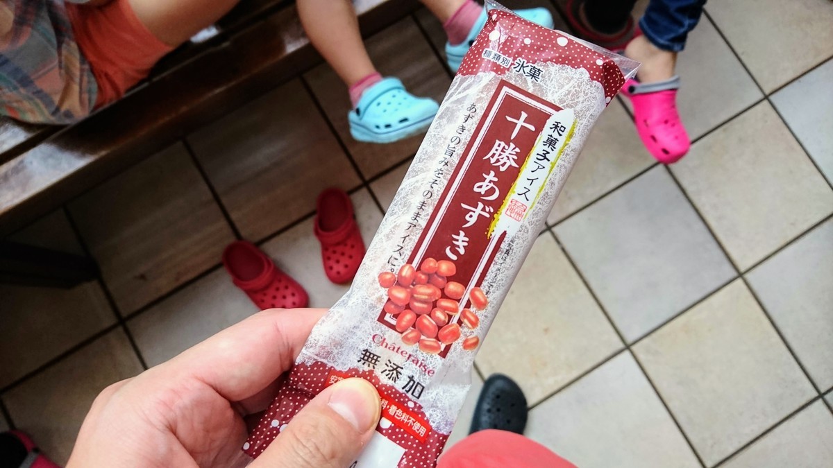 f:id:hayatOoooo:20190725155310j:plain