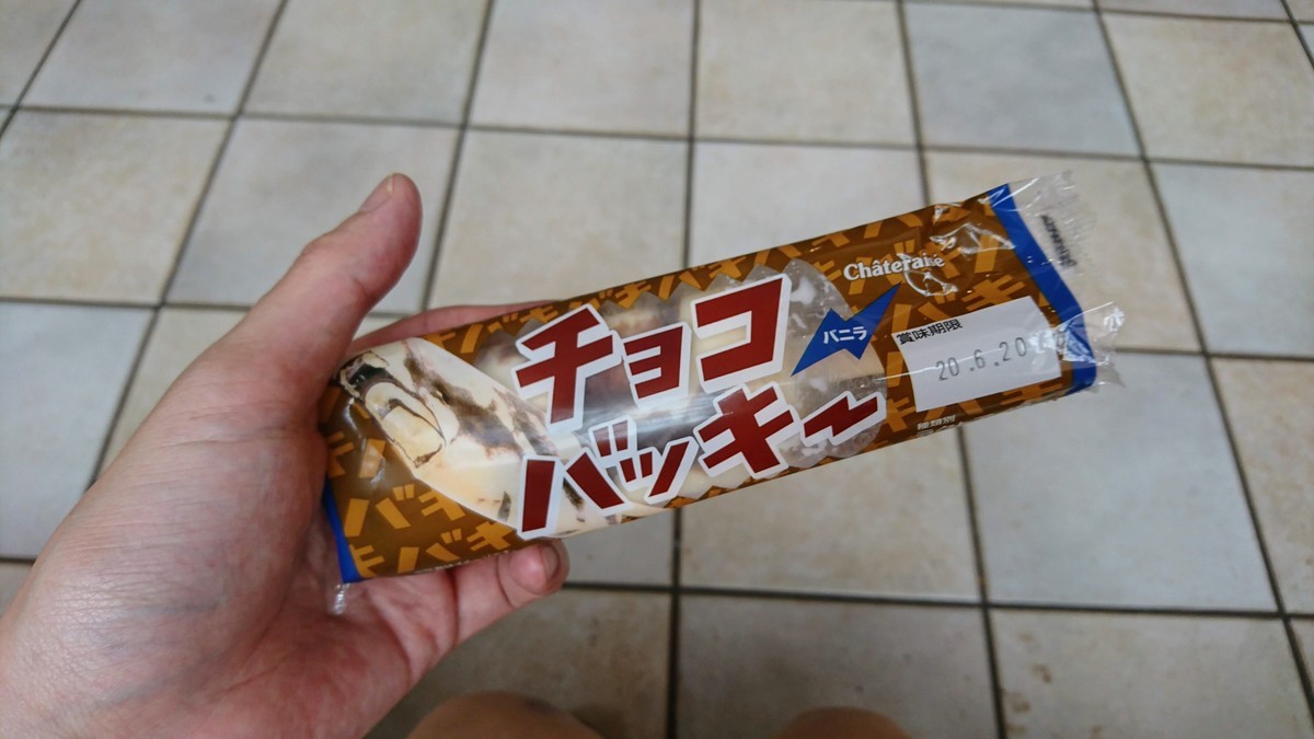 f:id:hayatOoooo:20190725155905j:plain