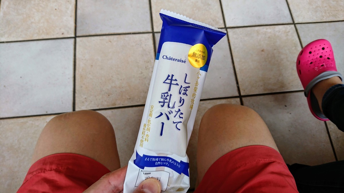 f:id:hayatOoooo:20190725160628j:plain