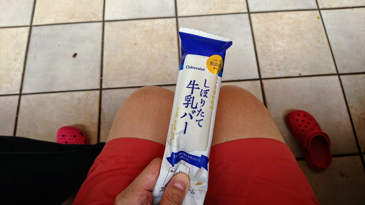 f:id:hayatOoooo:20190725160859j:plain