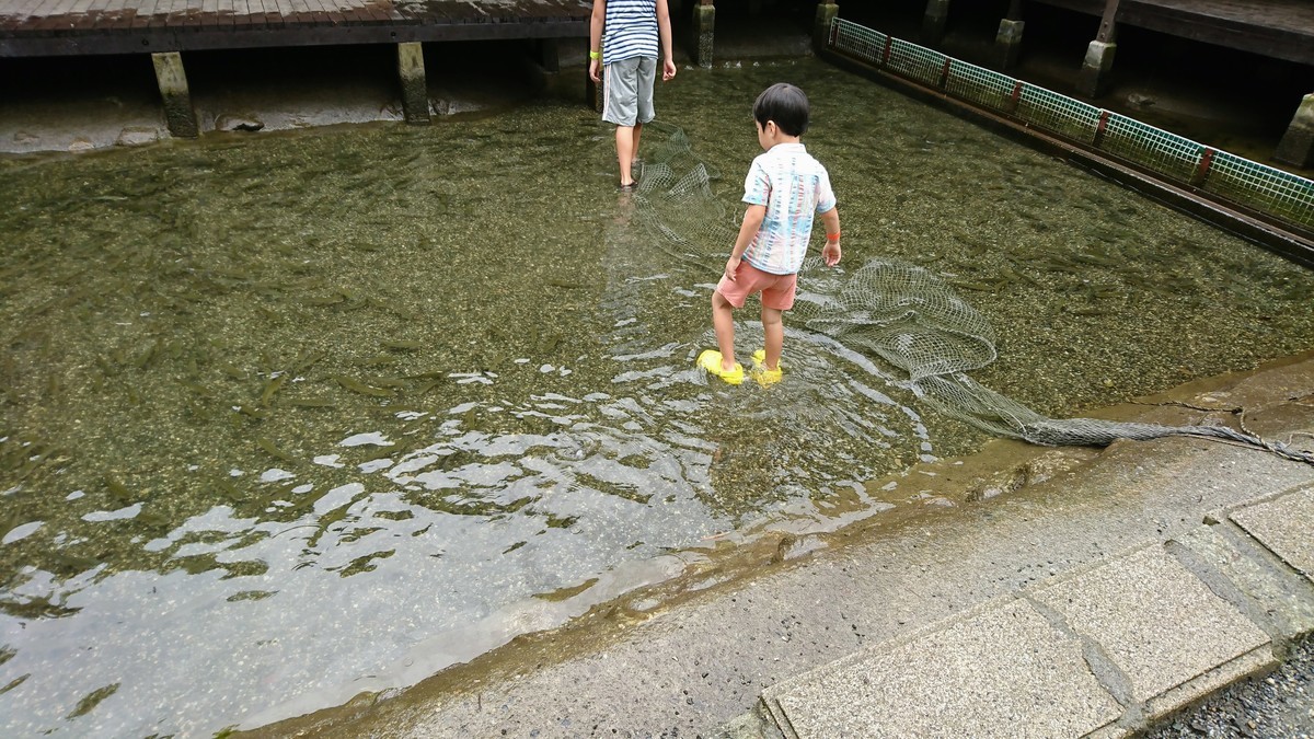 f:id:hayatOoooo:20190725162746j:plain