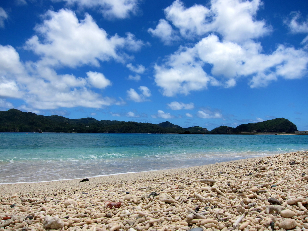 f:id:hayata-zakka:20180908102839j:plain f:id:hayata-zakka:20180908102839j:plain