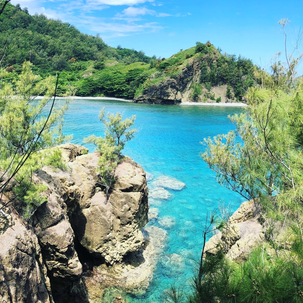 f:id:hayata-zakka:20180909011215j:plain f:id:hayata-zakka:20180909011215j:plain