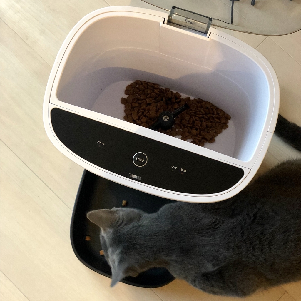 f:id:hayata-zakka:20190104172301j:plain f:id:hayata-zakka:20190104172301j:plain