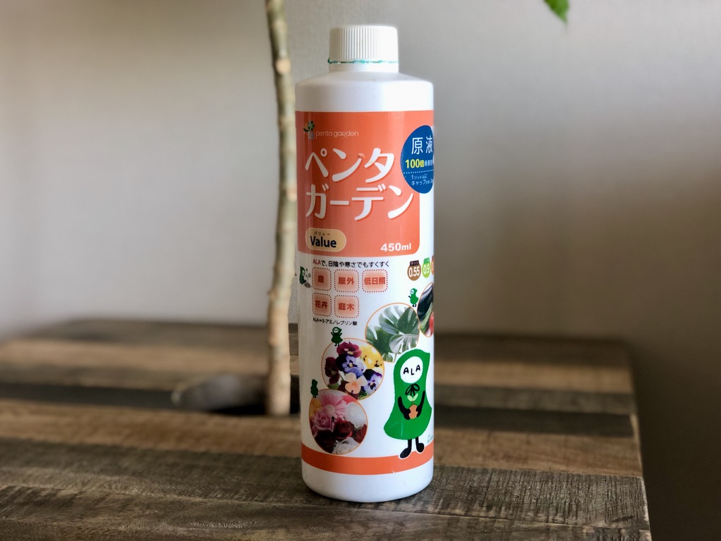 ペンタガーデン