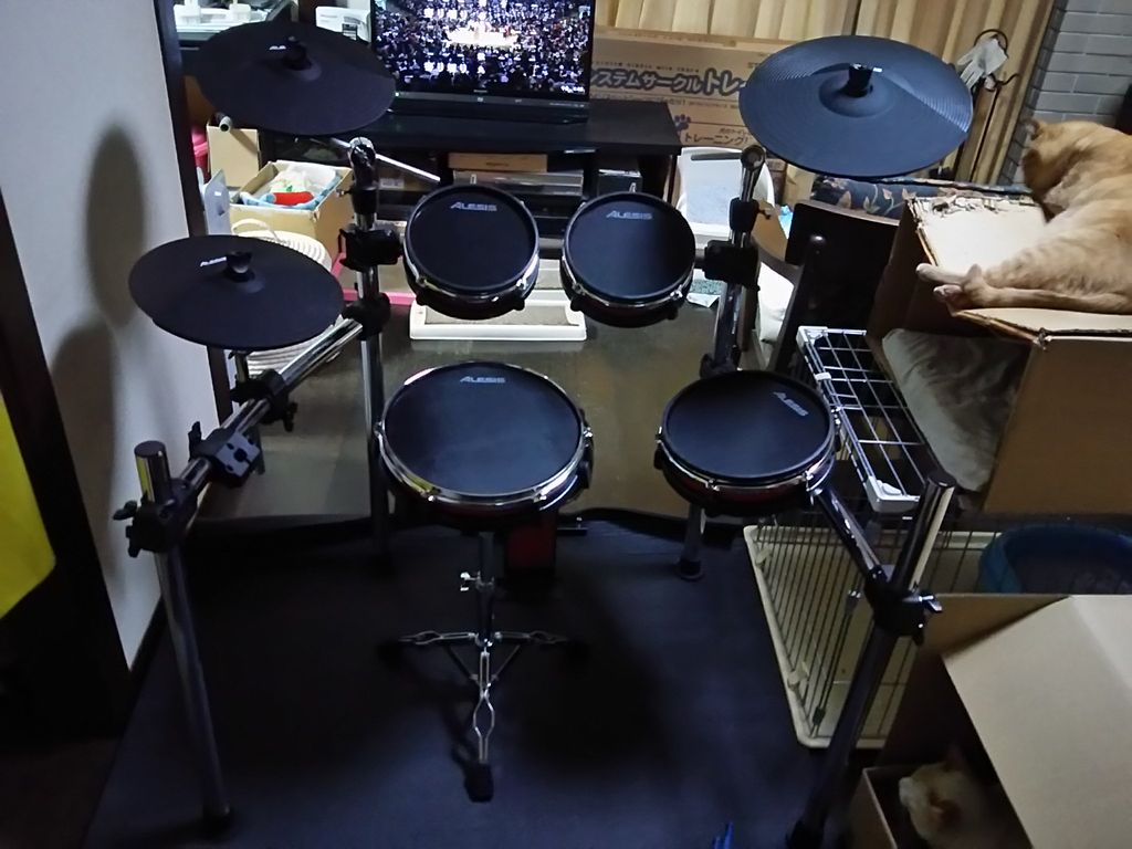 ALESIS CRIMSON MESH KIT 美品 製品情報：CRIMSON MESH KIT：Alesis