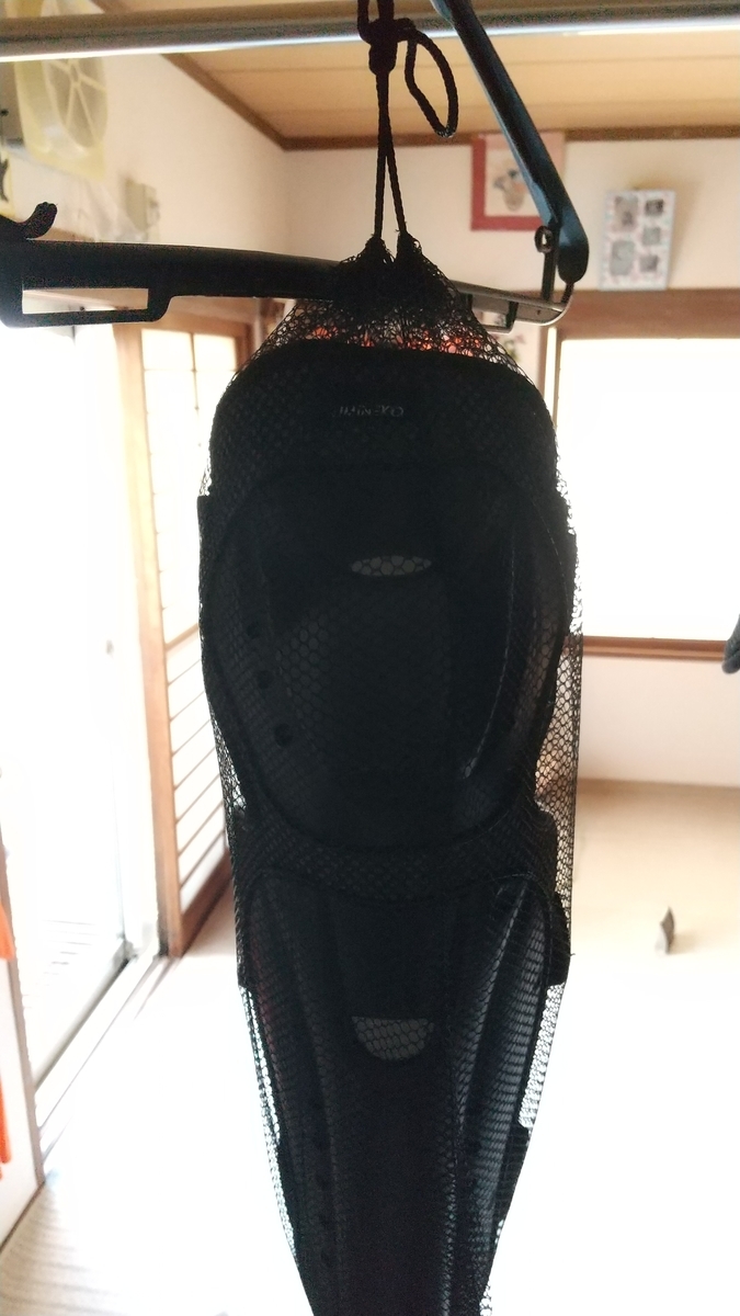 f:id:hayato-01:20210616231259j:plain