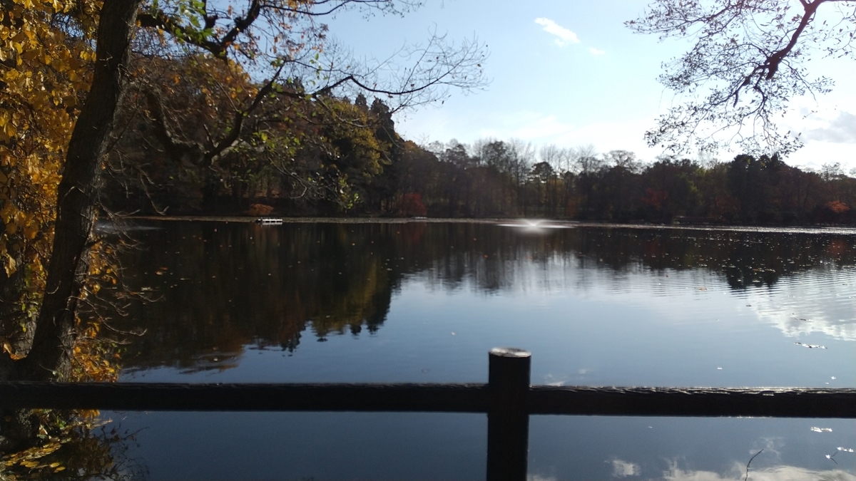 f:id:hayato-01:20211103222600j:plain