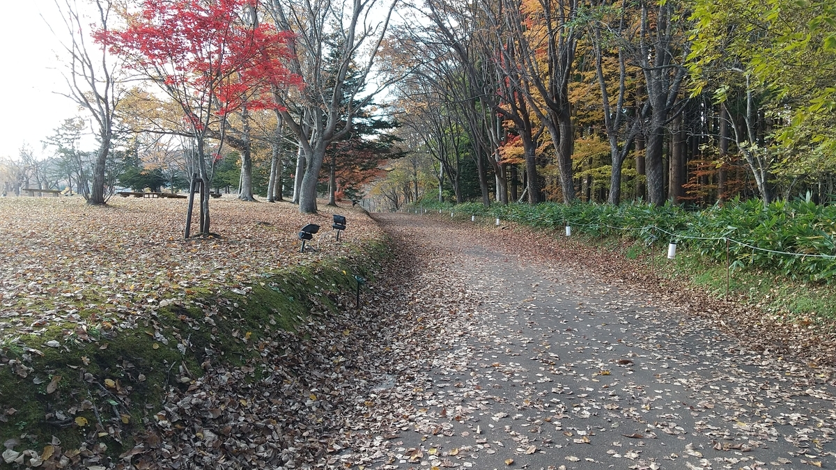 f:id:hayato-01:20211103222722j:plain