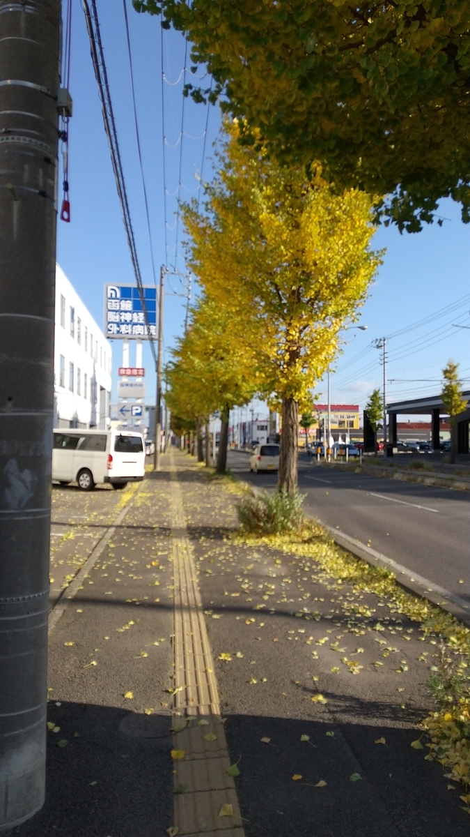 f:id:hayato-01:20211119223325j:plain