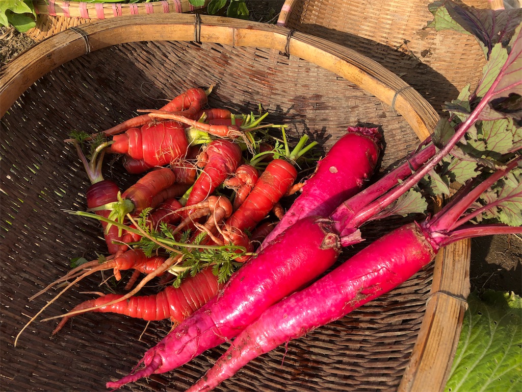 f:id:hayato774:20190109201613j:image f:id:hayato774:20190109201613j:image