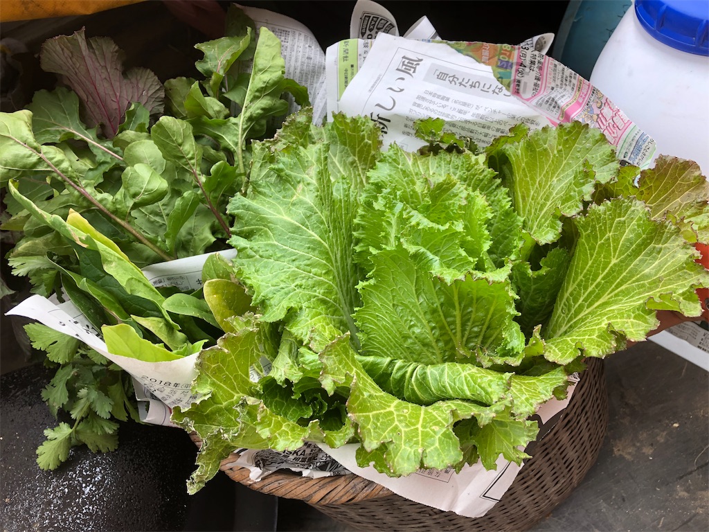 f:id:hayato774:20190109201621j:image f:id:hayato774:20190109201621j:image