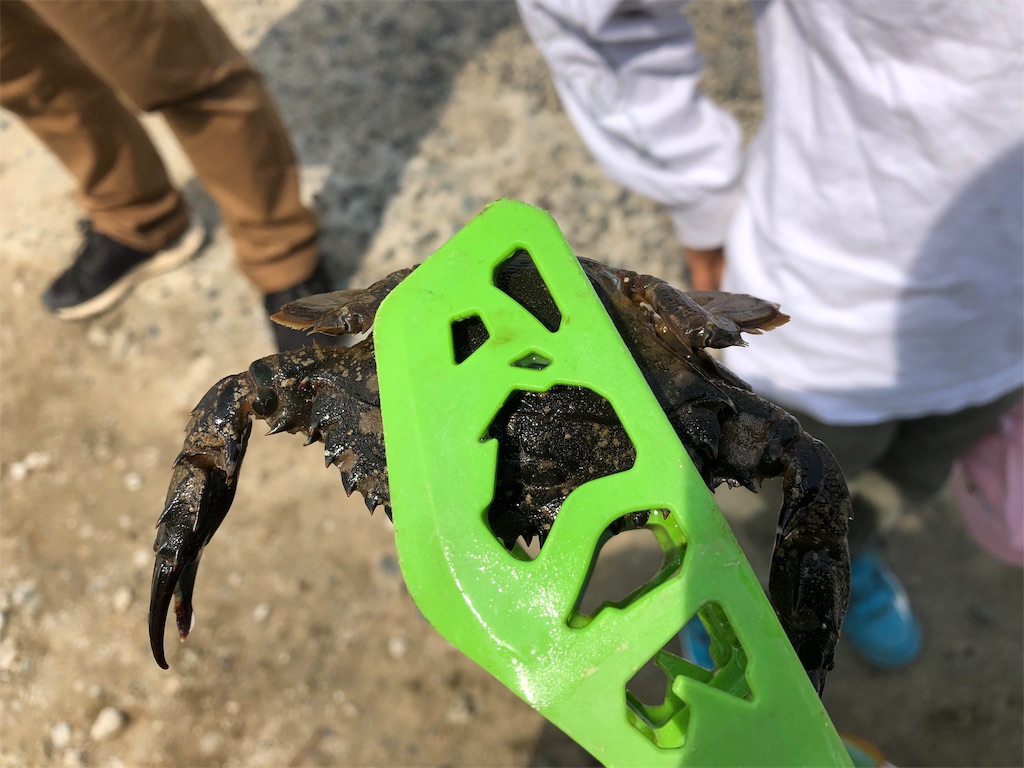 f:id:hayato774:20190514232457j:image f:id:hayato774:20190514232457j:image