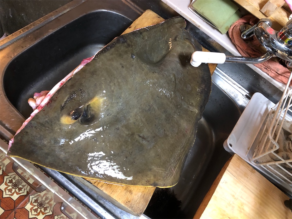 f:id:hayato774:20190514232526j:image f:id:hayato774:20190514232526j:image