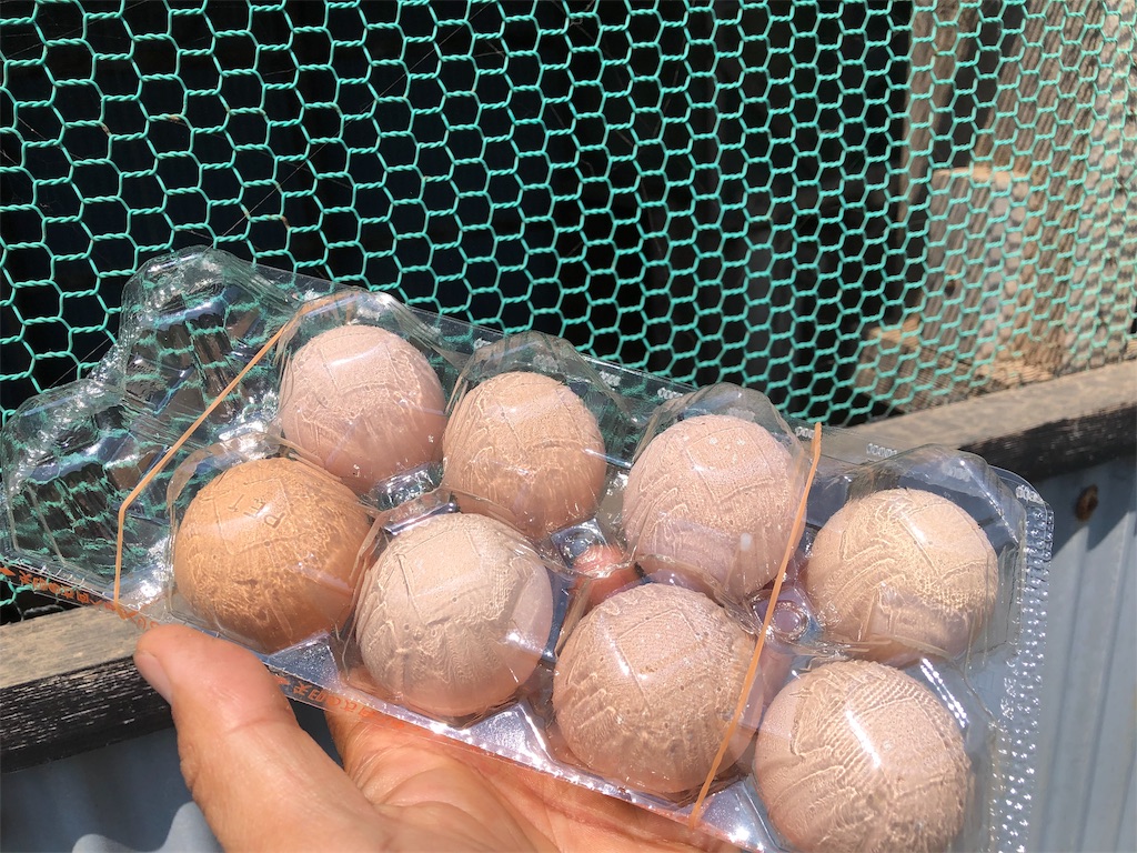 f:id:hayato774:20190514232553j:image f:id:hayato774:20190514232553j:image