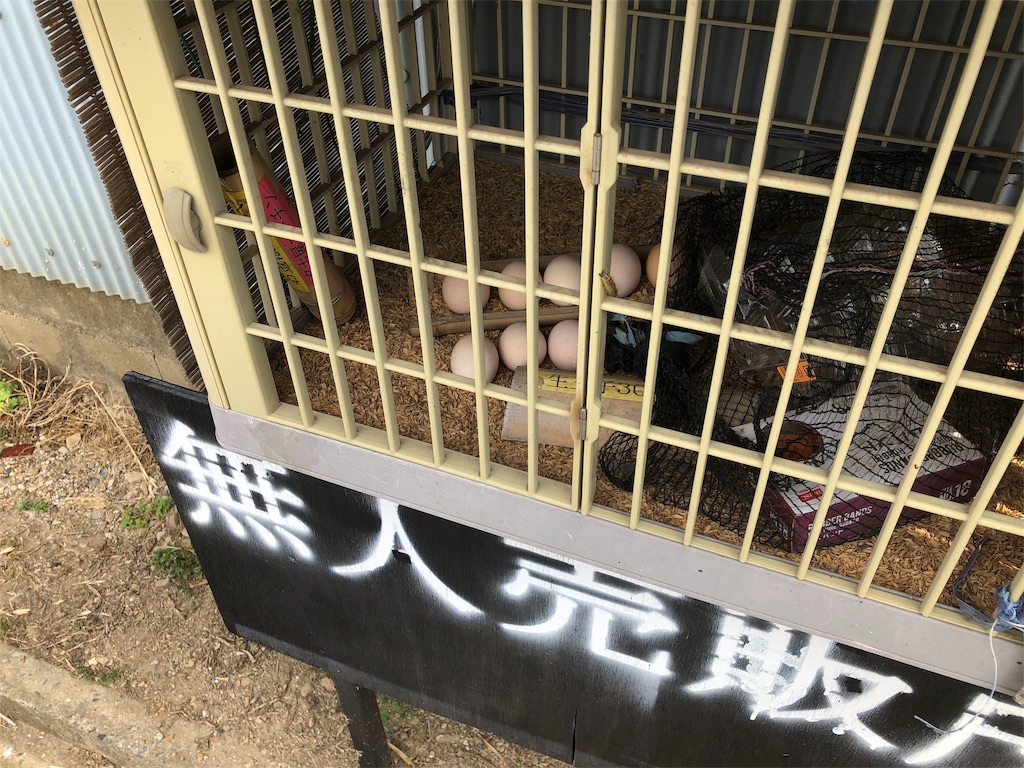 f:id:hayato774:20190514232717j:image f:id:hayato774:20190514232717j:image