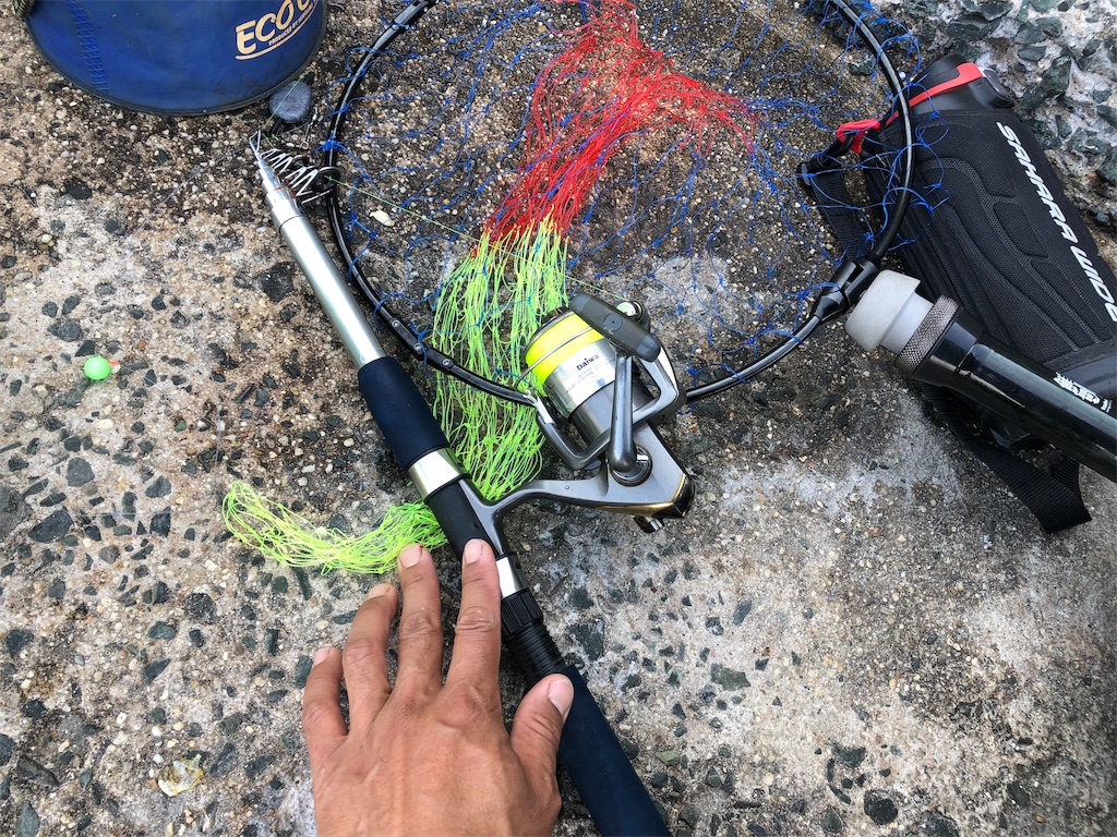 f:id:hayato774:20190514232723j:image f:id:hayato774:20190514232723j:image