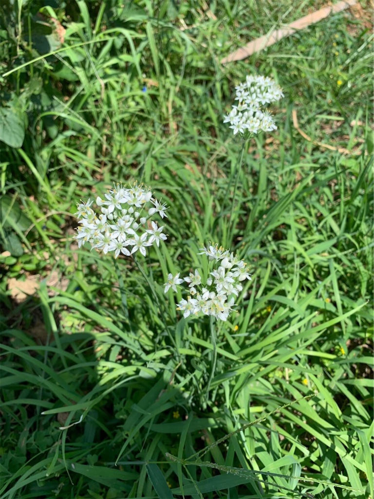 f:id:hayato774:20190916095829j:image f:id:hayato774:20190916095829j:image