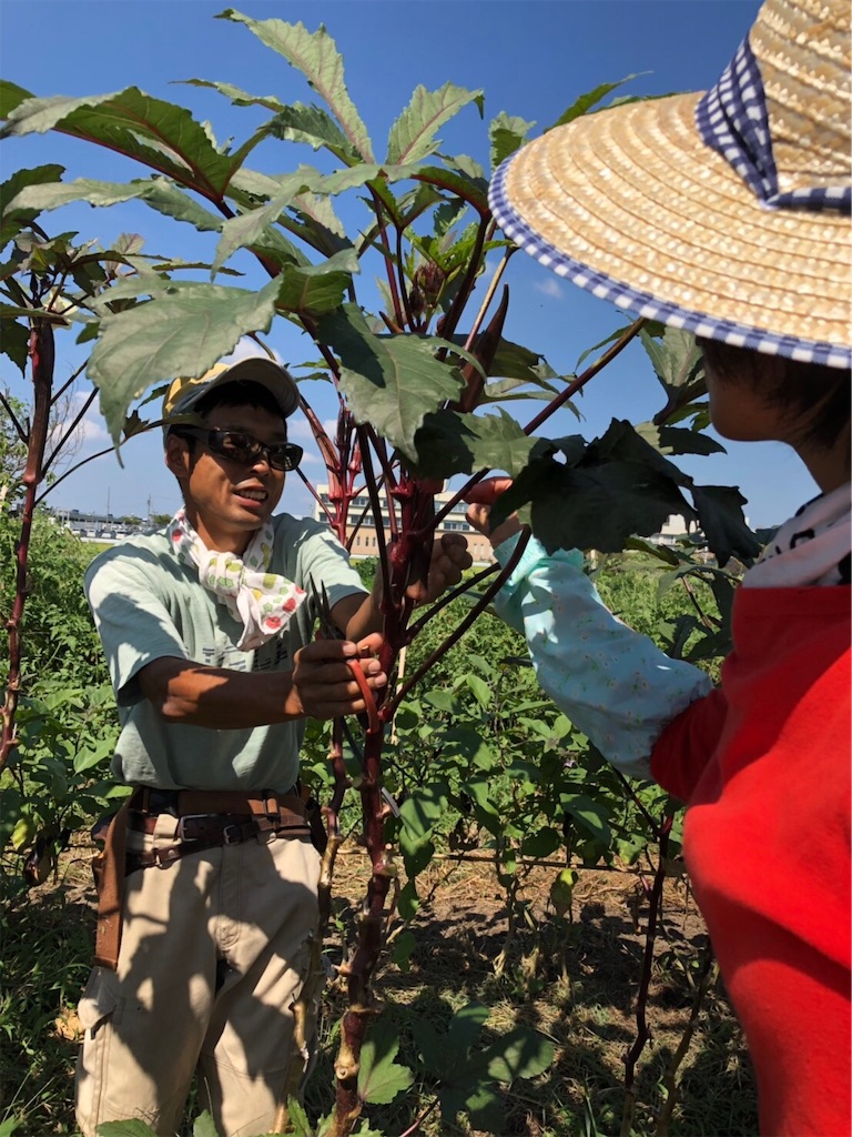 f:id:hayato774:20190916101050j:image f:id:hayato774:20190916101050j:image