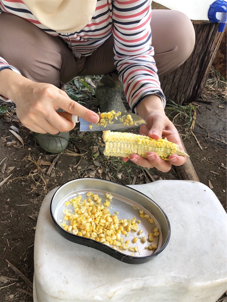 f:id:hayato774:20190916101117j:image f:id:hayato774:20190916101117j:image