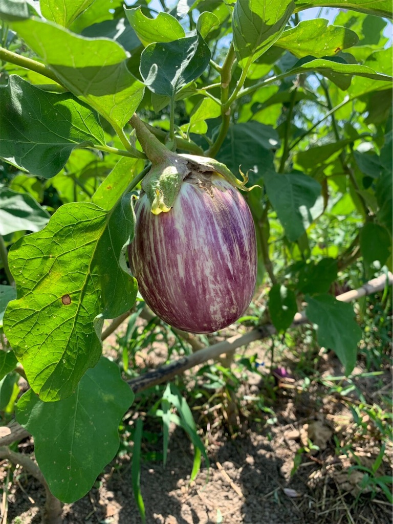 f:id:hayato774:20190917132410j:image f:id:hayato774:20190917132410j:image