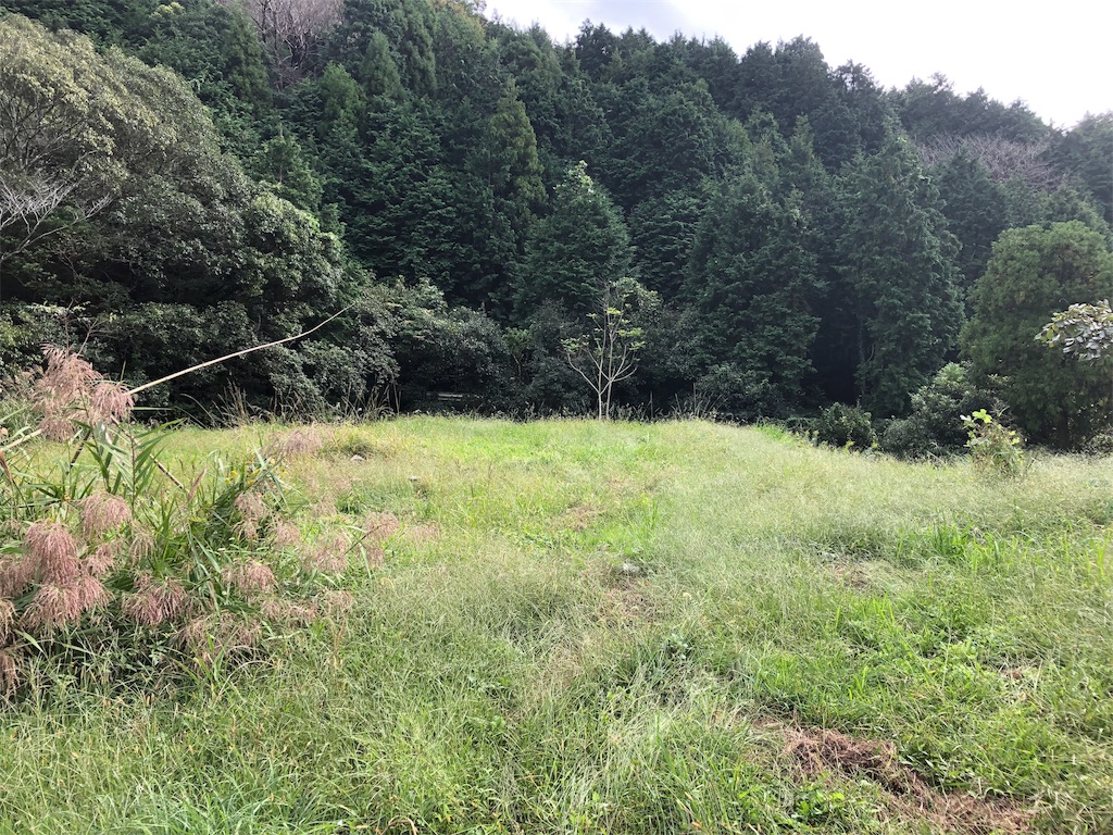 f:id:hayato774:20191018093422j:image f:id:hayato774:20191018093422j:image